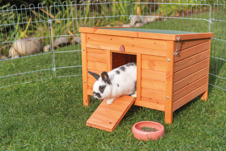 TRIXIE Kleintierhaus